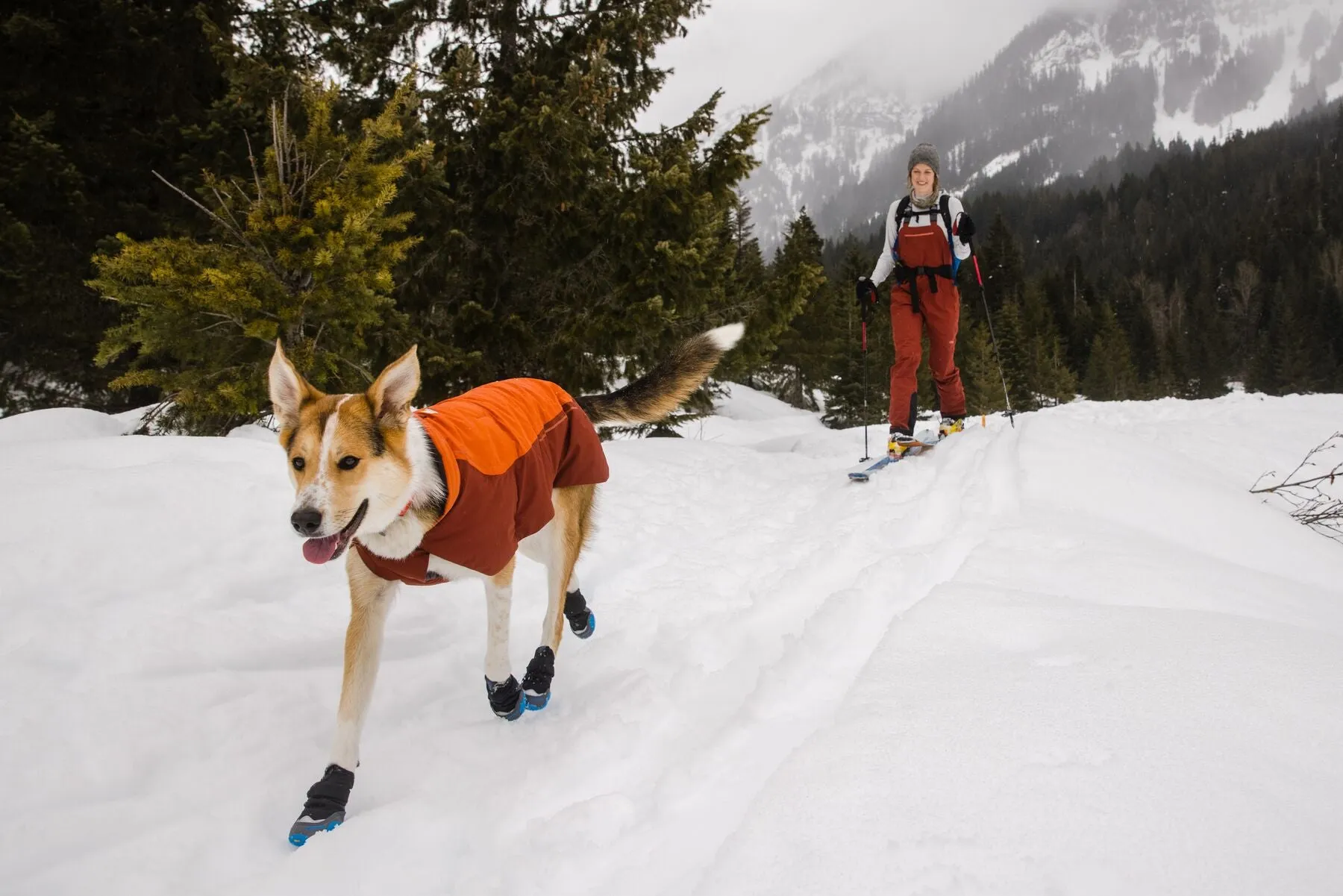 Ruffwear Polar Trex dog snow boots