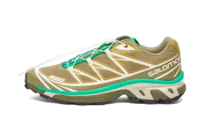 Salomon XT-6 Dried Herb